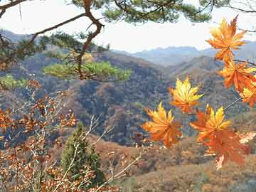 河北北三县最新消息